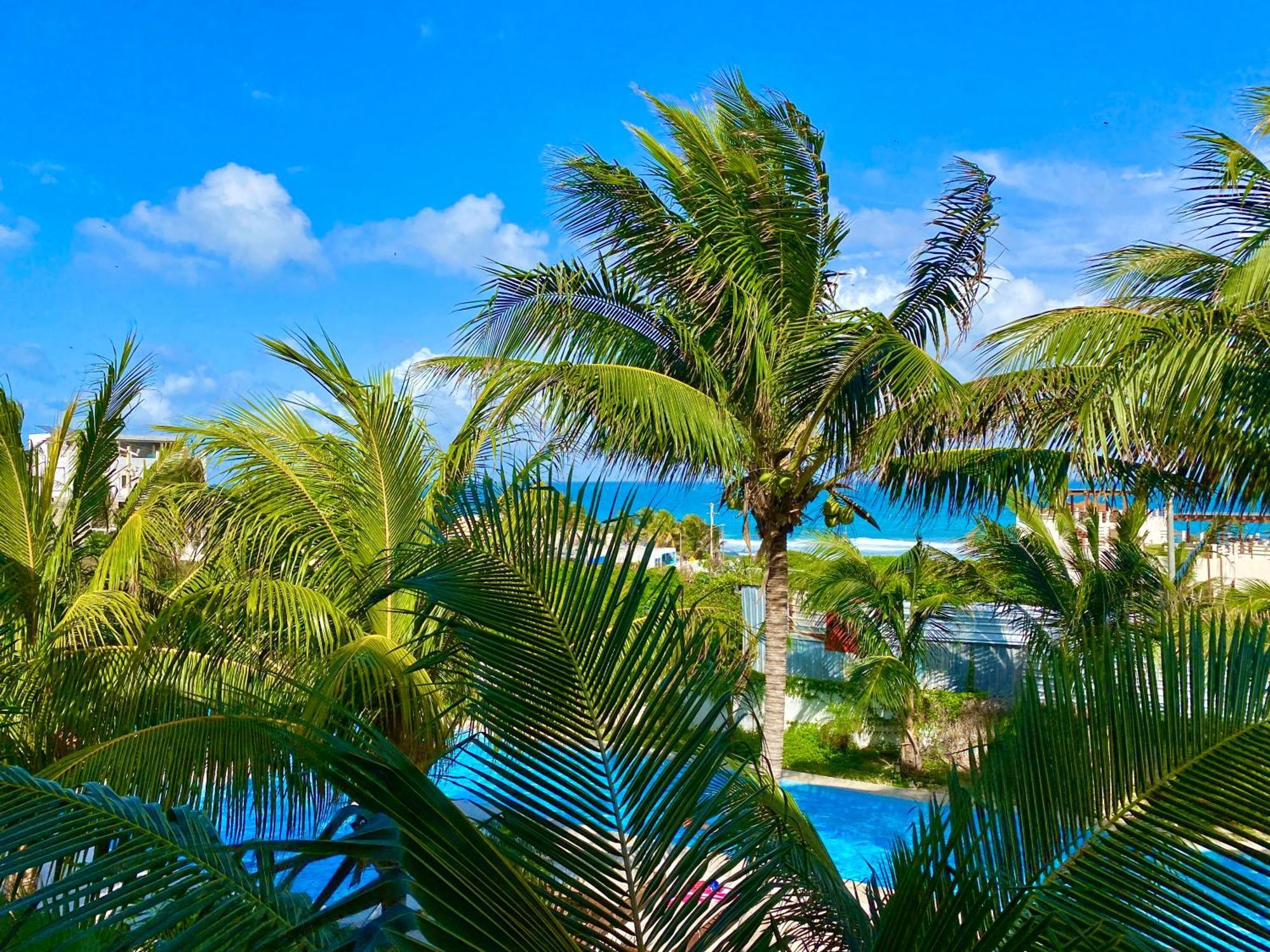 Villas Amanecer By Andiani Travel Isla Mujeres Exteriör bild
